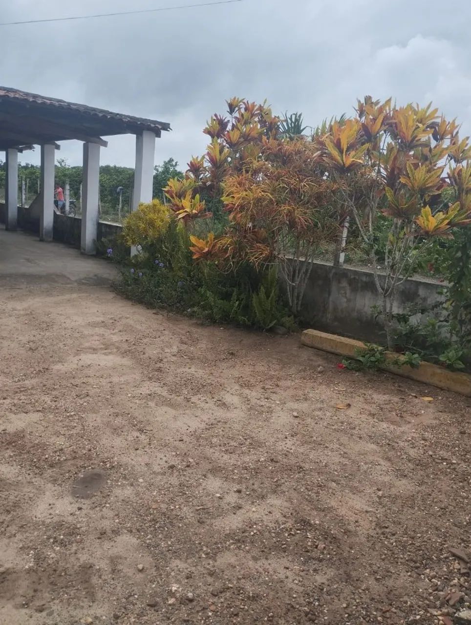 Chácara pra alugar  - Foto 2