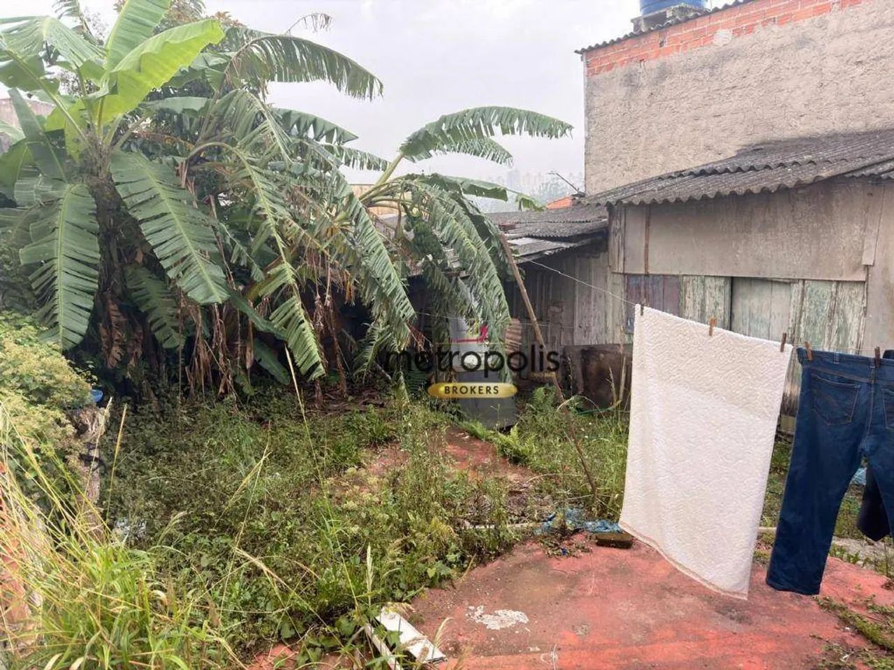 Terreno à venda, 400 m² por R$ 980.000,00 - Vila Baeta Neves - São Bernardo do Campo/SP - Foto 7