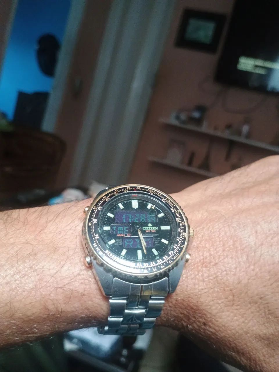 Citizen promaster modelo wingman