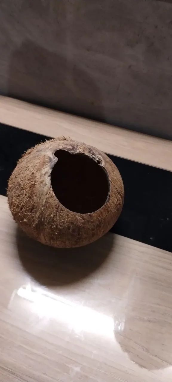 Casinha de côco para Hamster 
