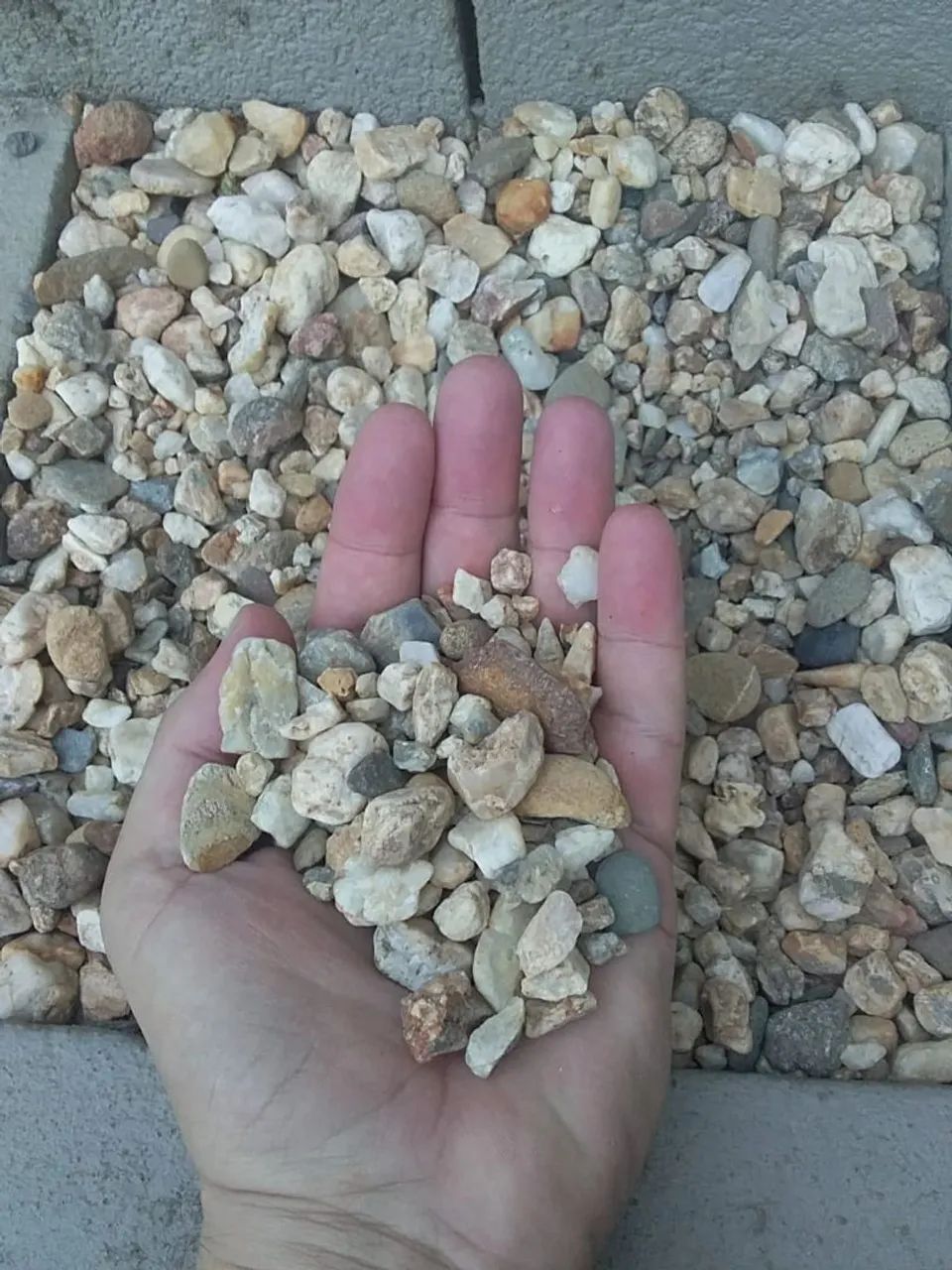 Seixo65093785284993122