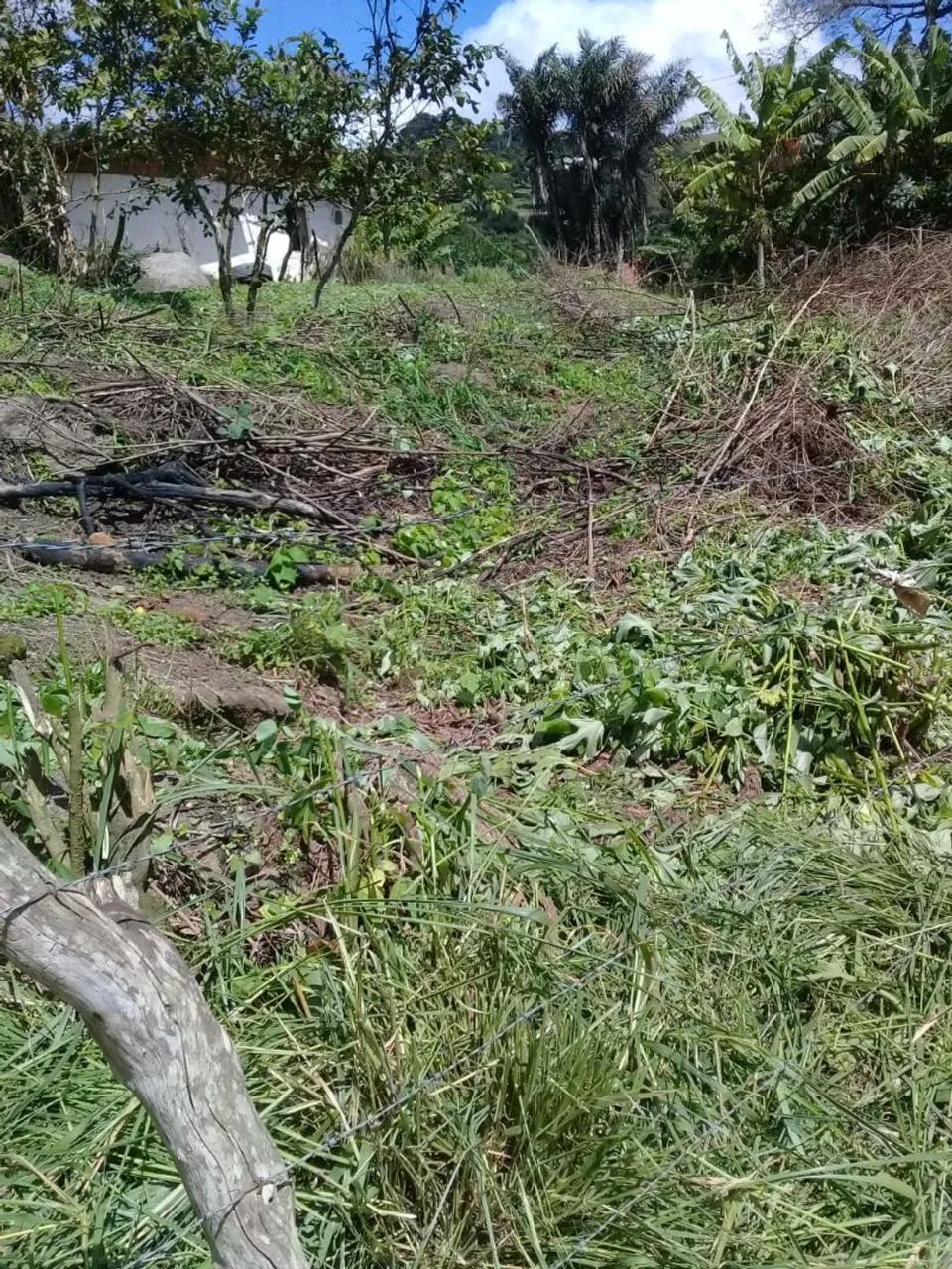 Vendo terreno na serra negra