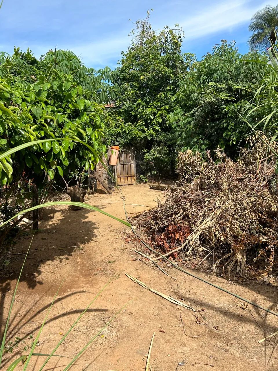 Terreno  Ilha  do Frade - Foto 2
