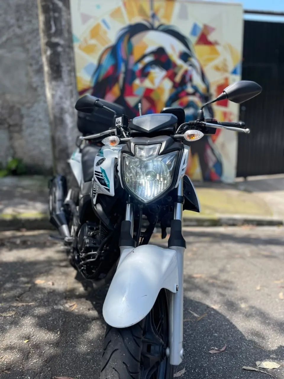 Fazer blueflex 250 vc