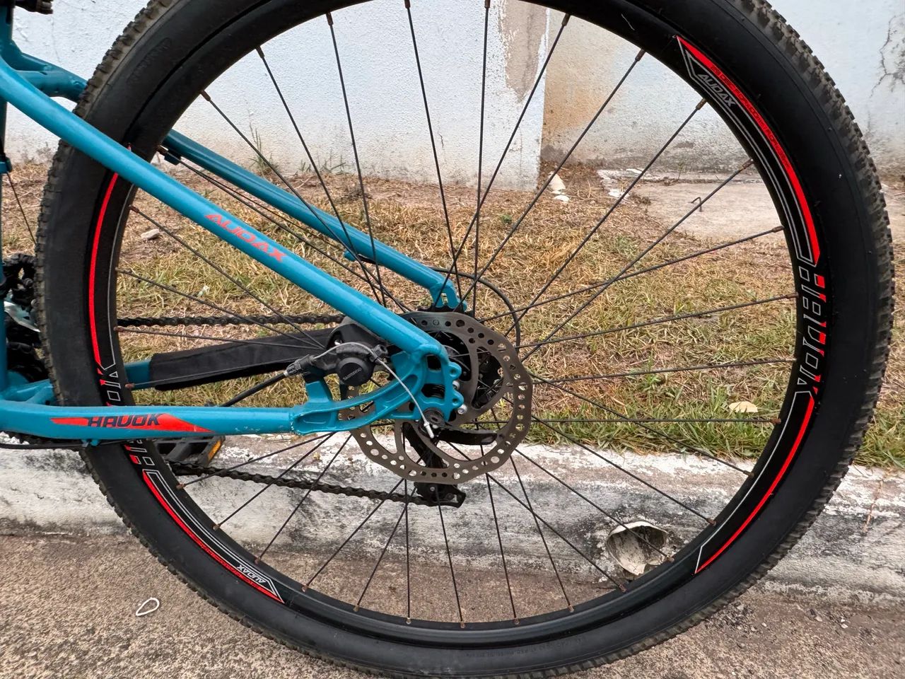 Bicicleta Audax
