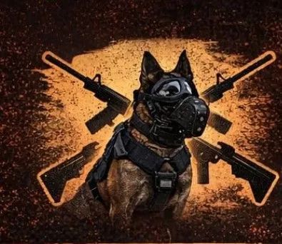 Adestrado de cães de guarda  - Foto 5