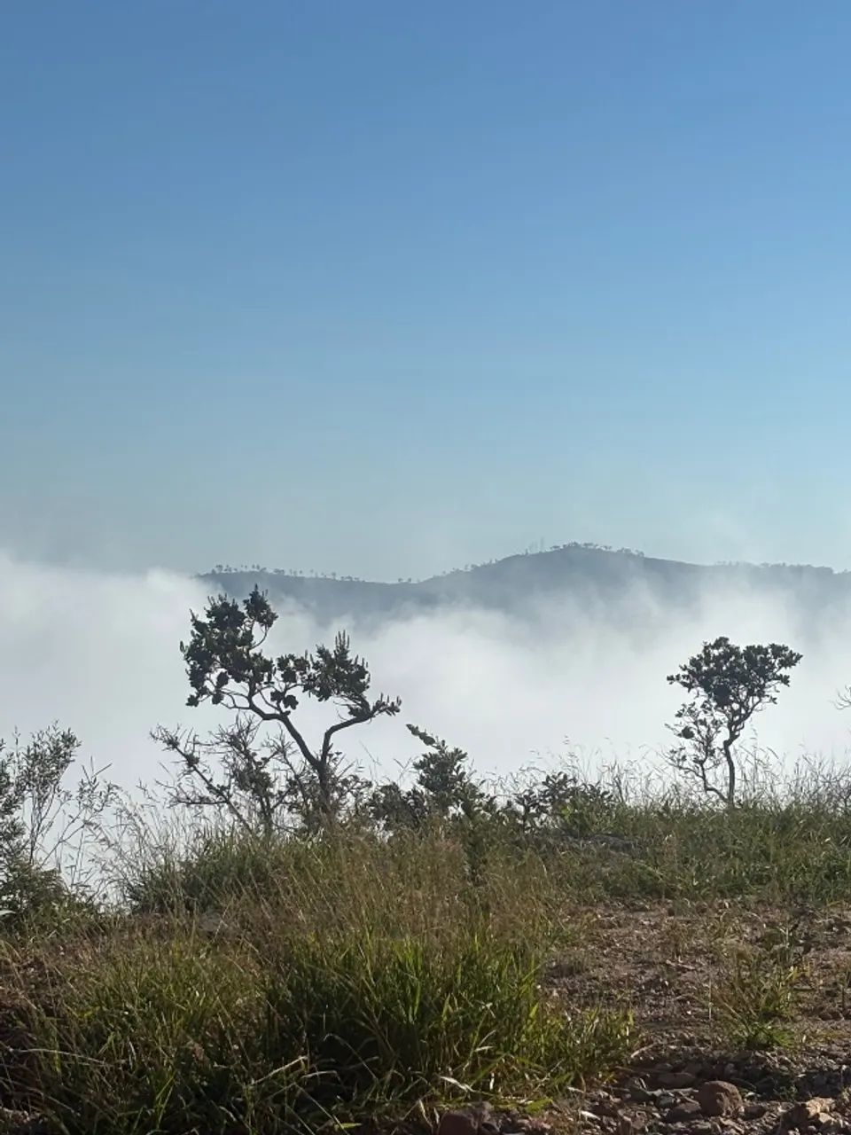 Lotes em Sabará  - Foto 4