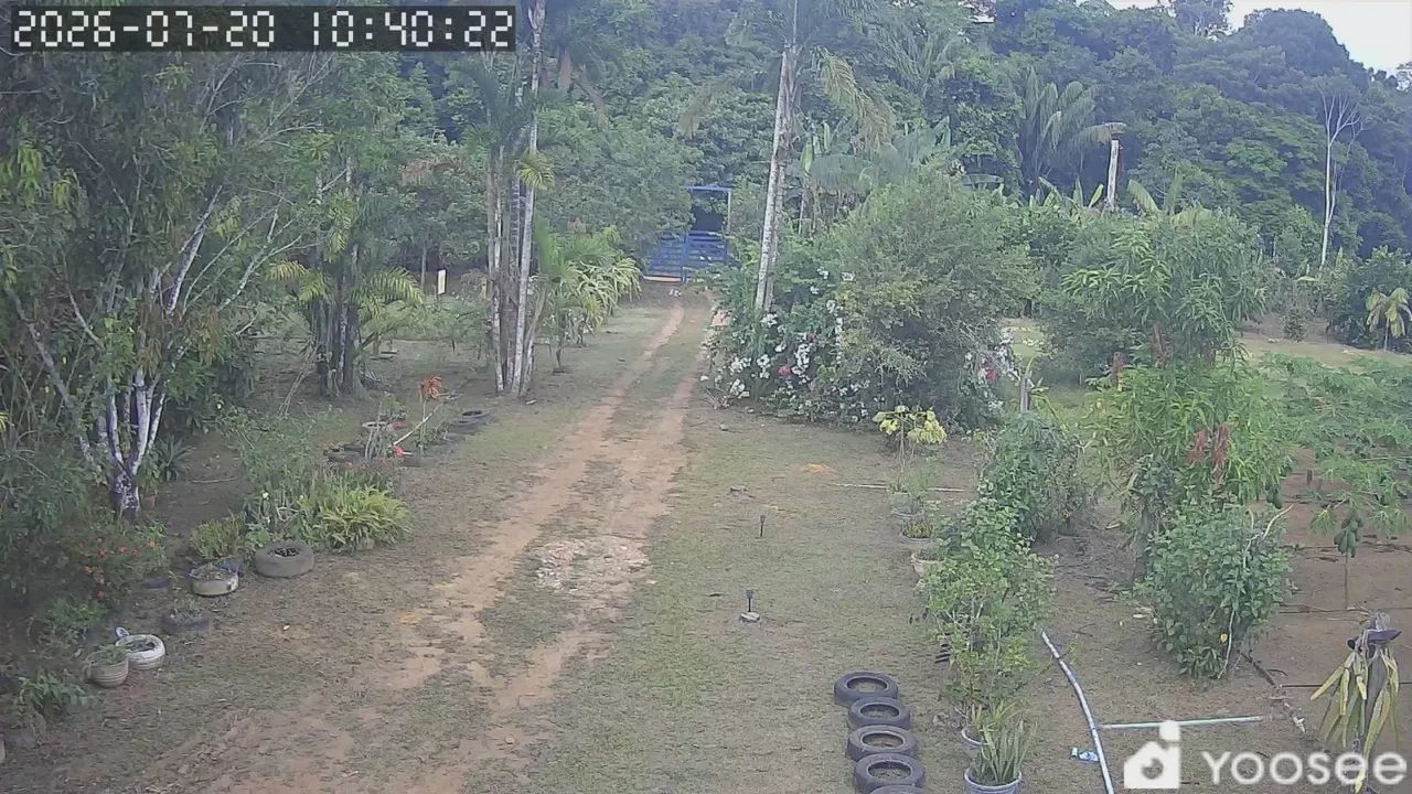 Vendo sítio na estrada de Manacapuru km 62  - Foto 2