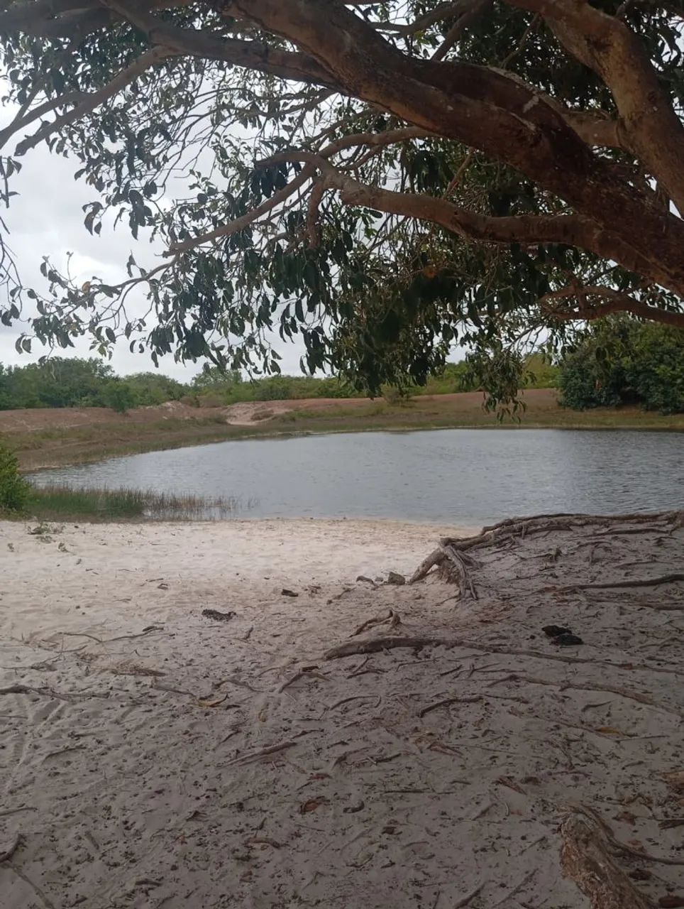 Terreno em Paracuru Ce - Foto 3