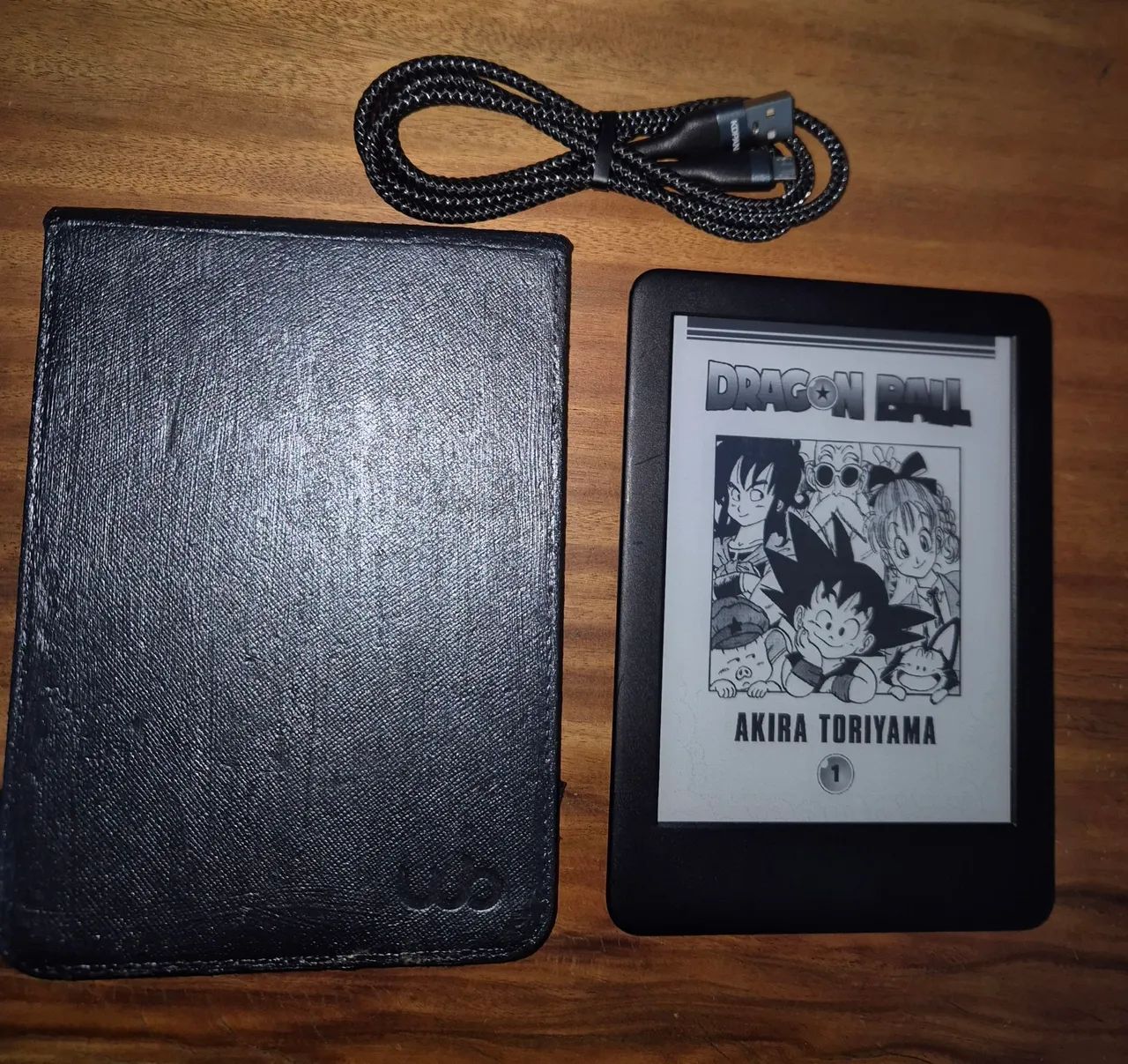 Kindle 10 Geração Sem Luz. Capa e cabo