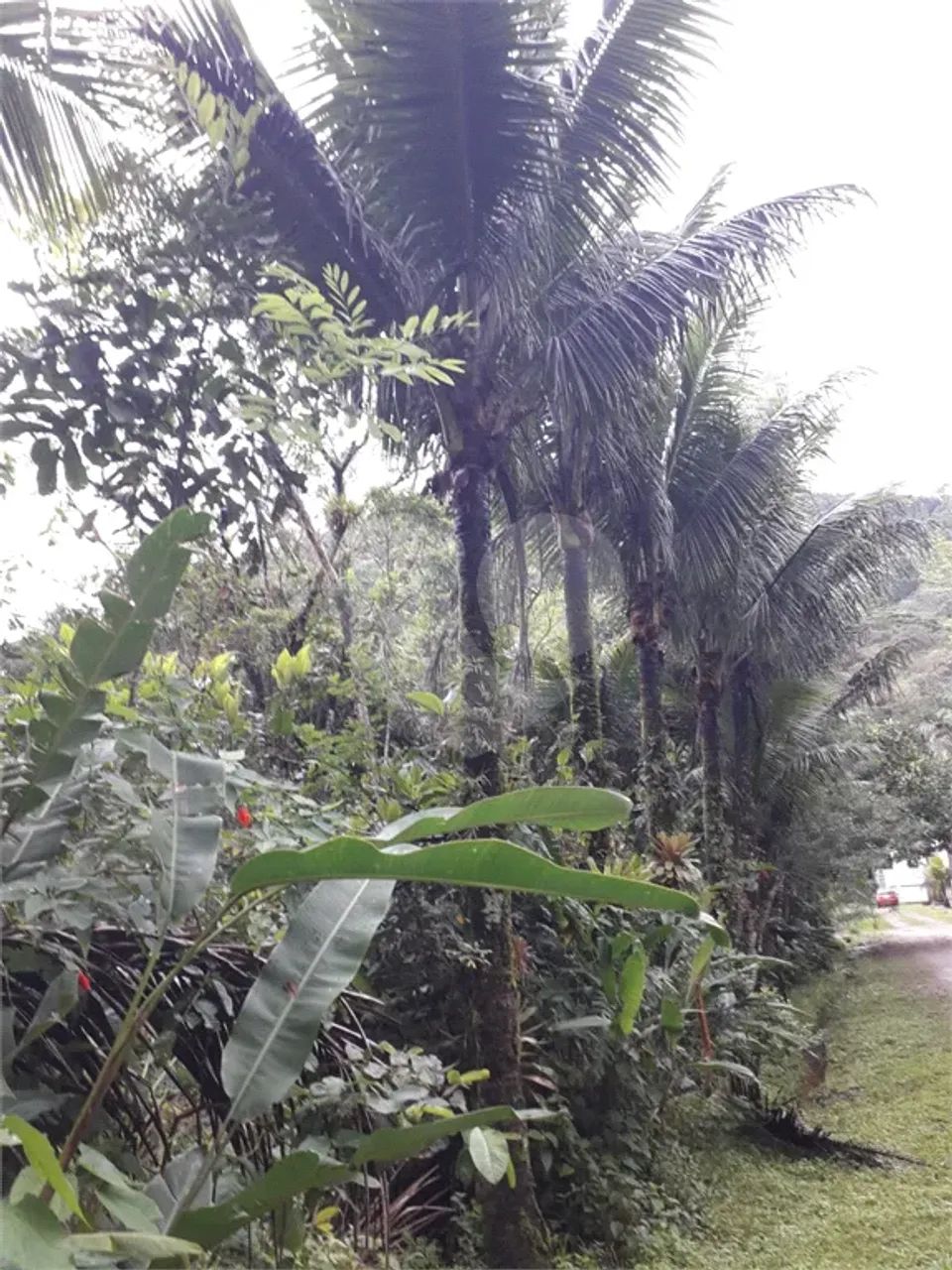 Terreno à venda em Verde mar - SP - Foto 5