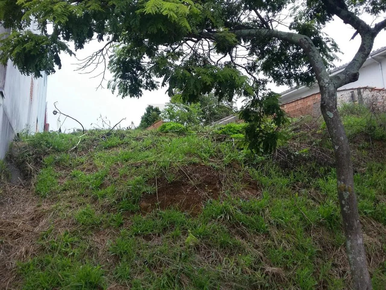 Terrenos Padrão em Poços de Caldas - Foto 3