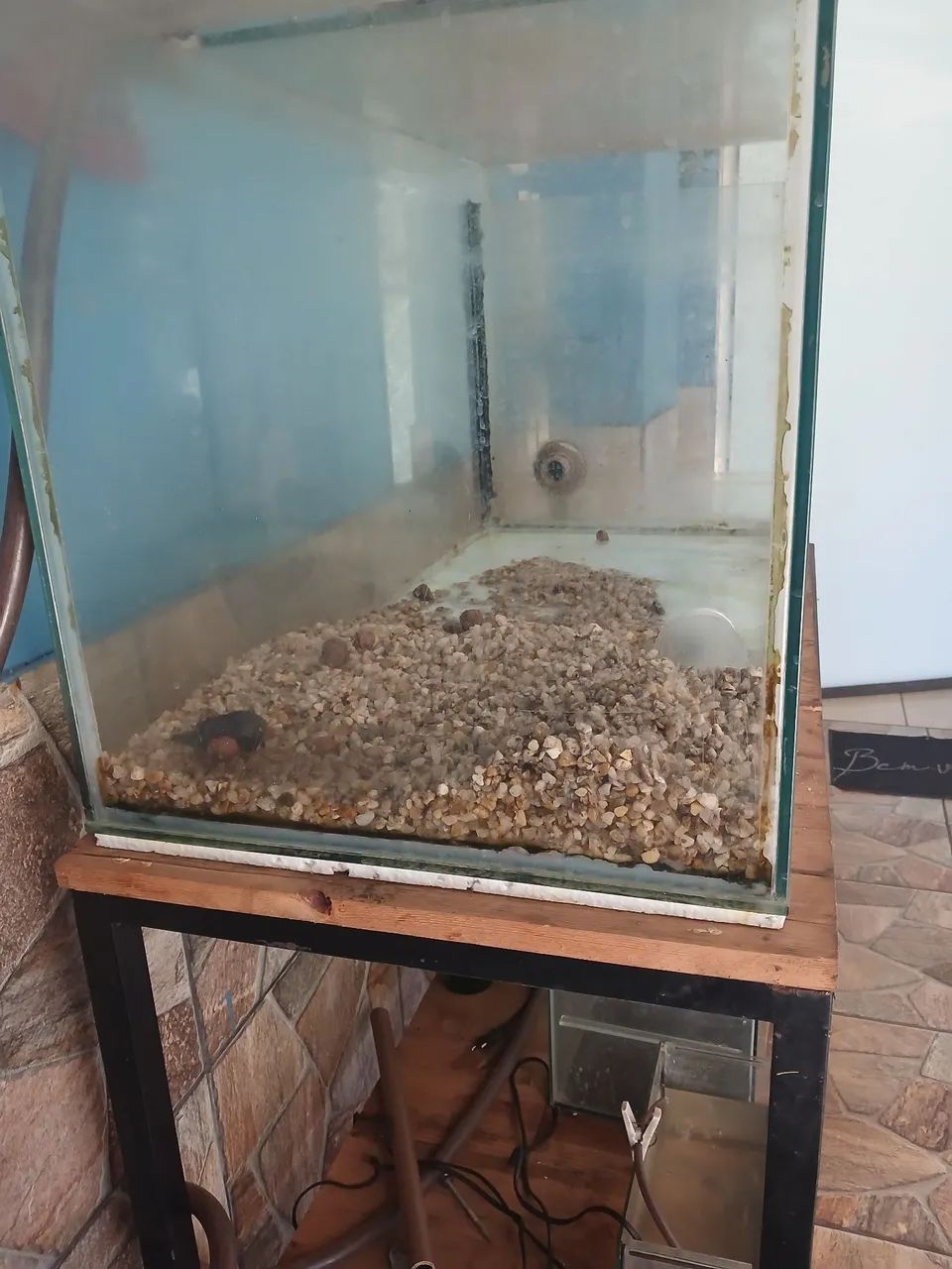 Aquário.  - Foto 2