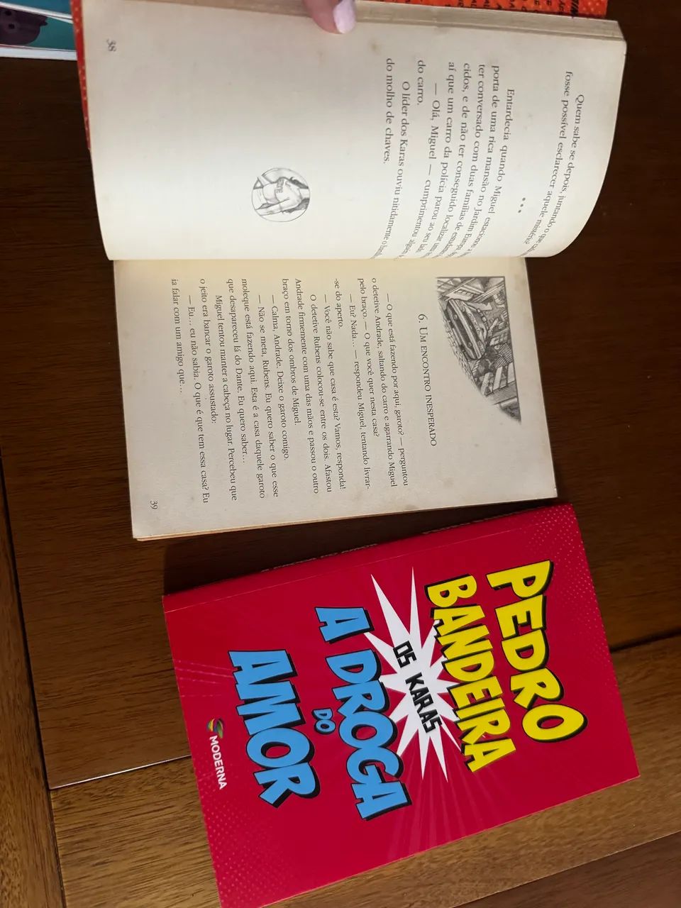 Livro - Foto 2