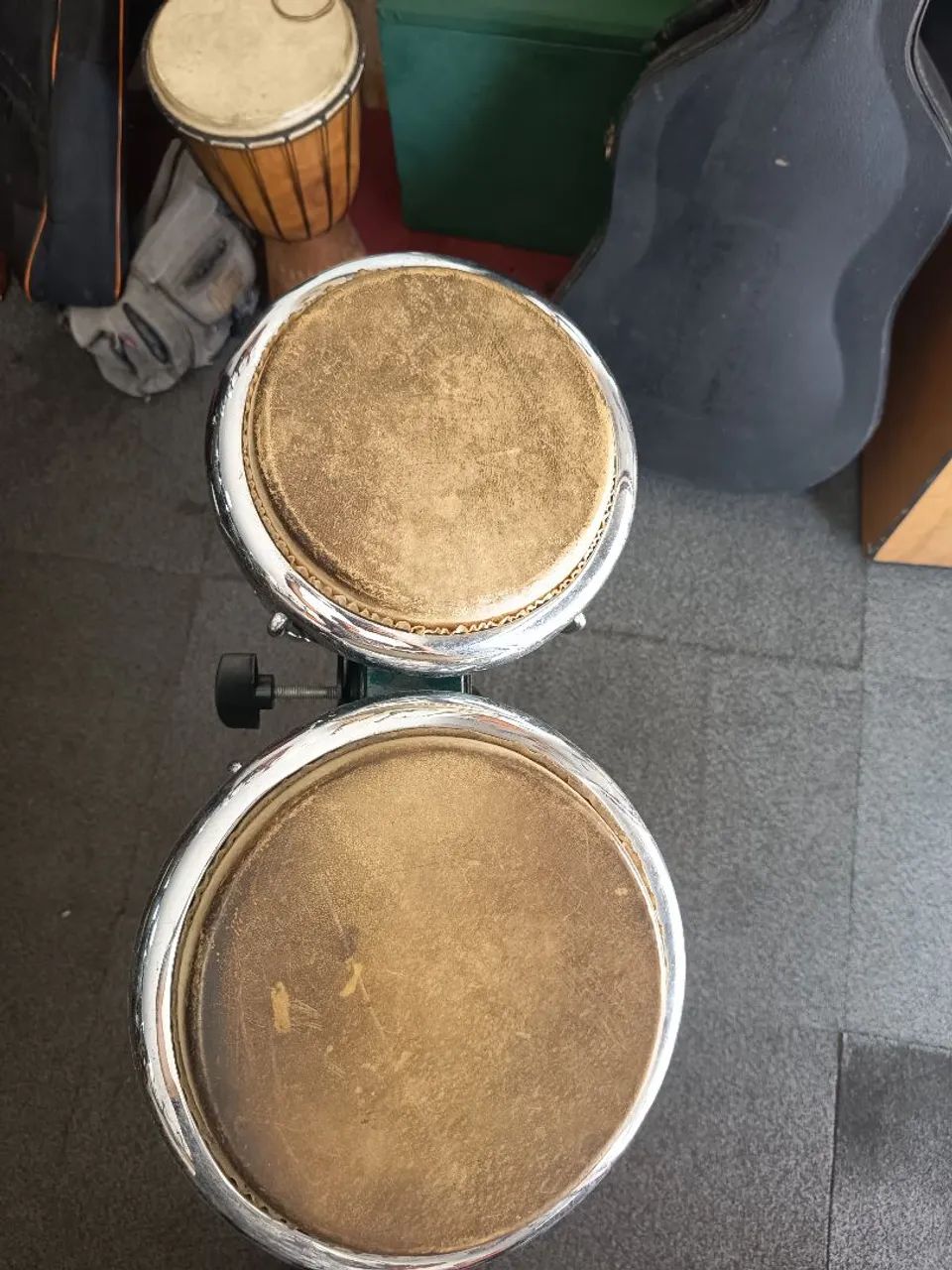 Bongo Bauer  - Foto 4