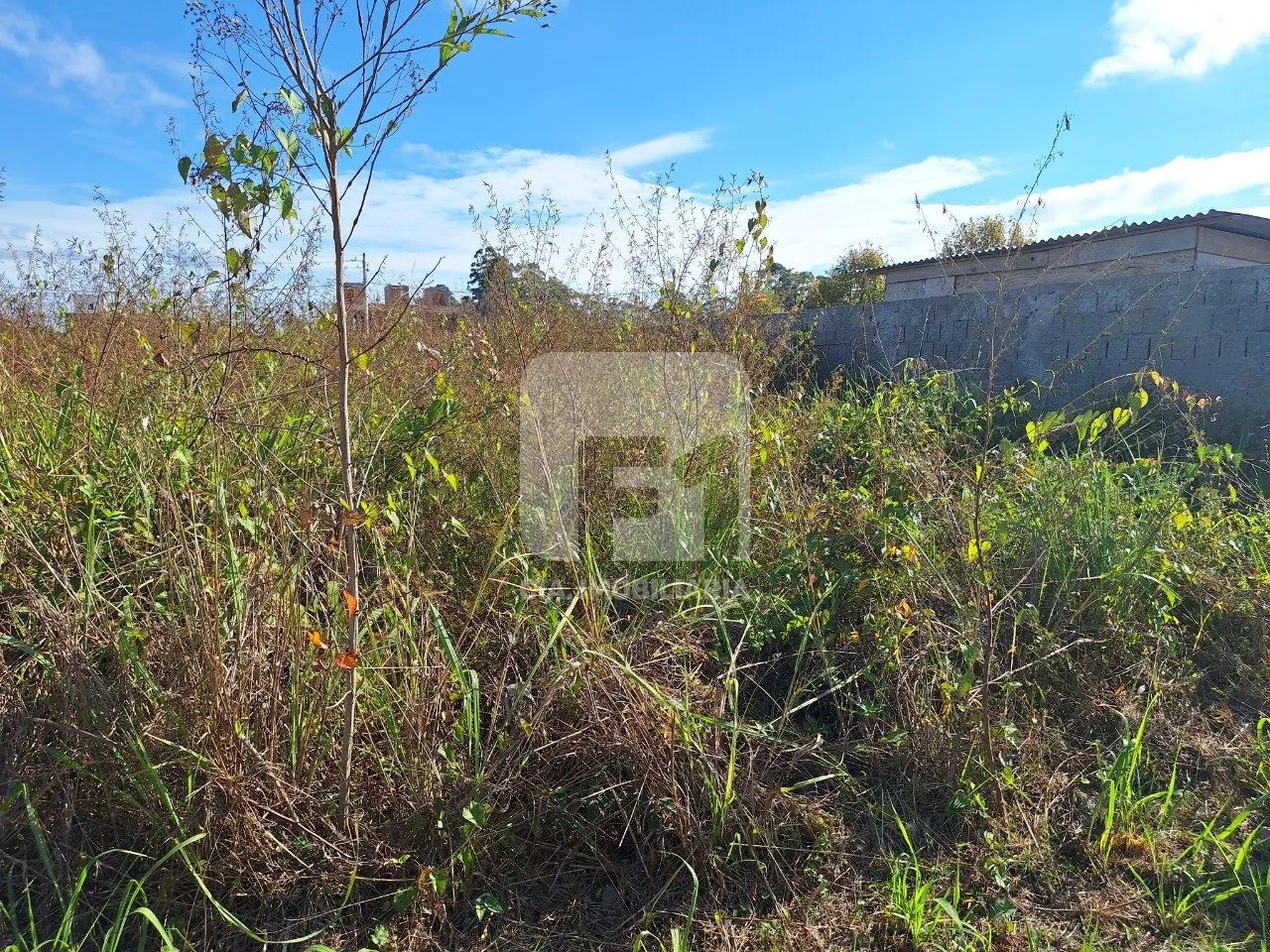 Terreno à venda em Canasvieiras - Foto 4