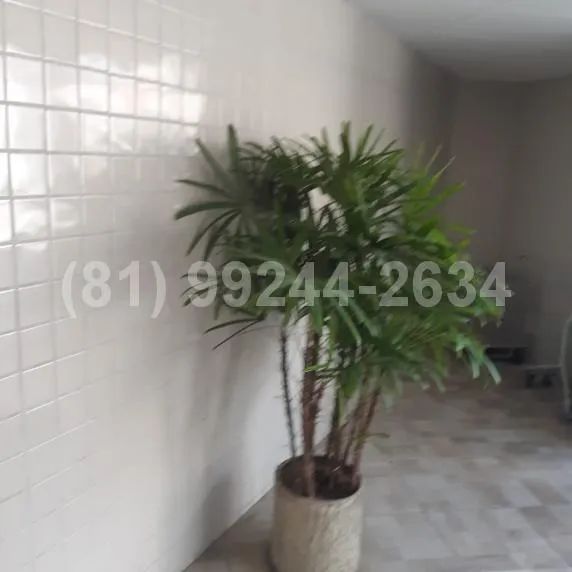 3 Quartos(Suíte) | 116 m² | Santo Amaro - Foto 4