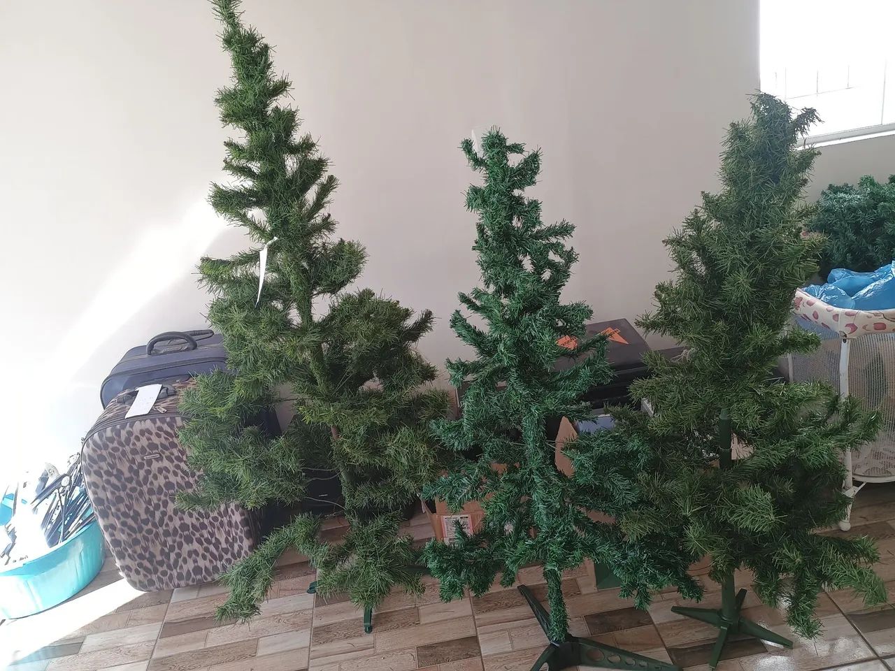 Árvore de natal