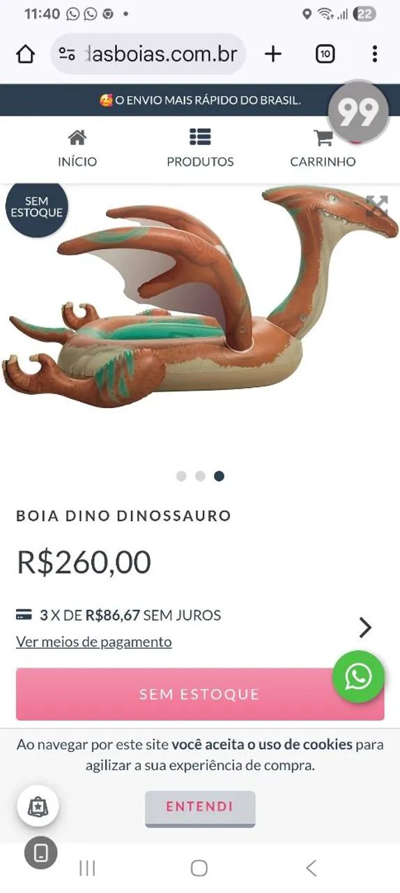Boia dinossauros  - Foto 3