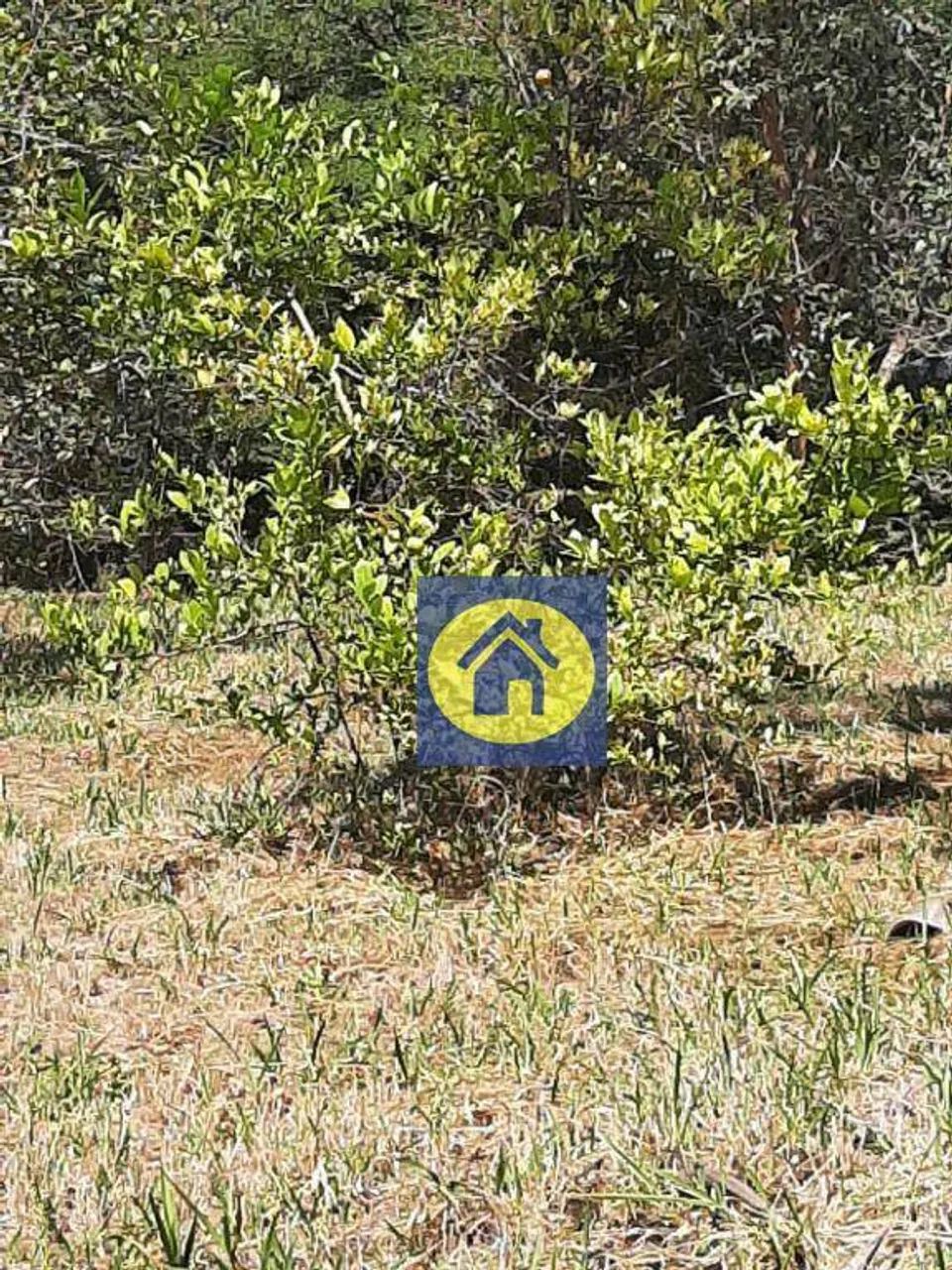Ótimo Terreno Pq Centenário - Foto 3