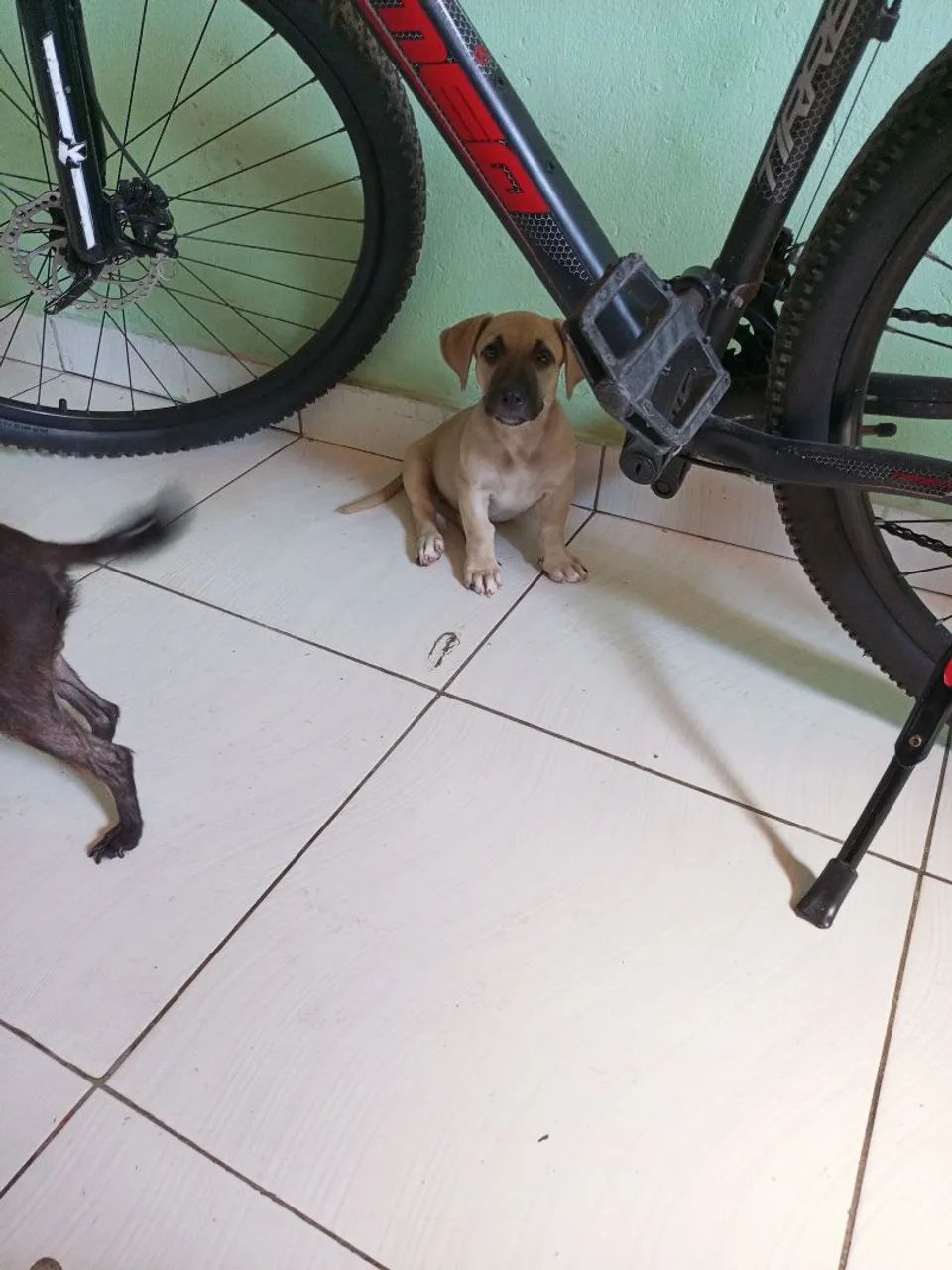 Venda ou troca  - Foto 3