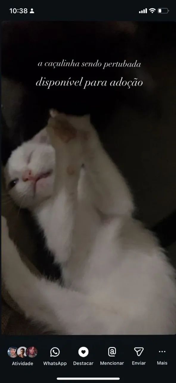 DOA-SE GATA - Foto 2