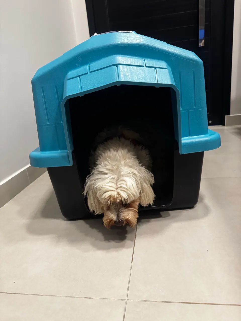 Casinha para cachorro de porte pequeno ou médio (n° 4) - Foto 3