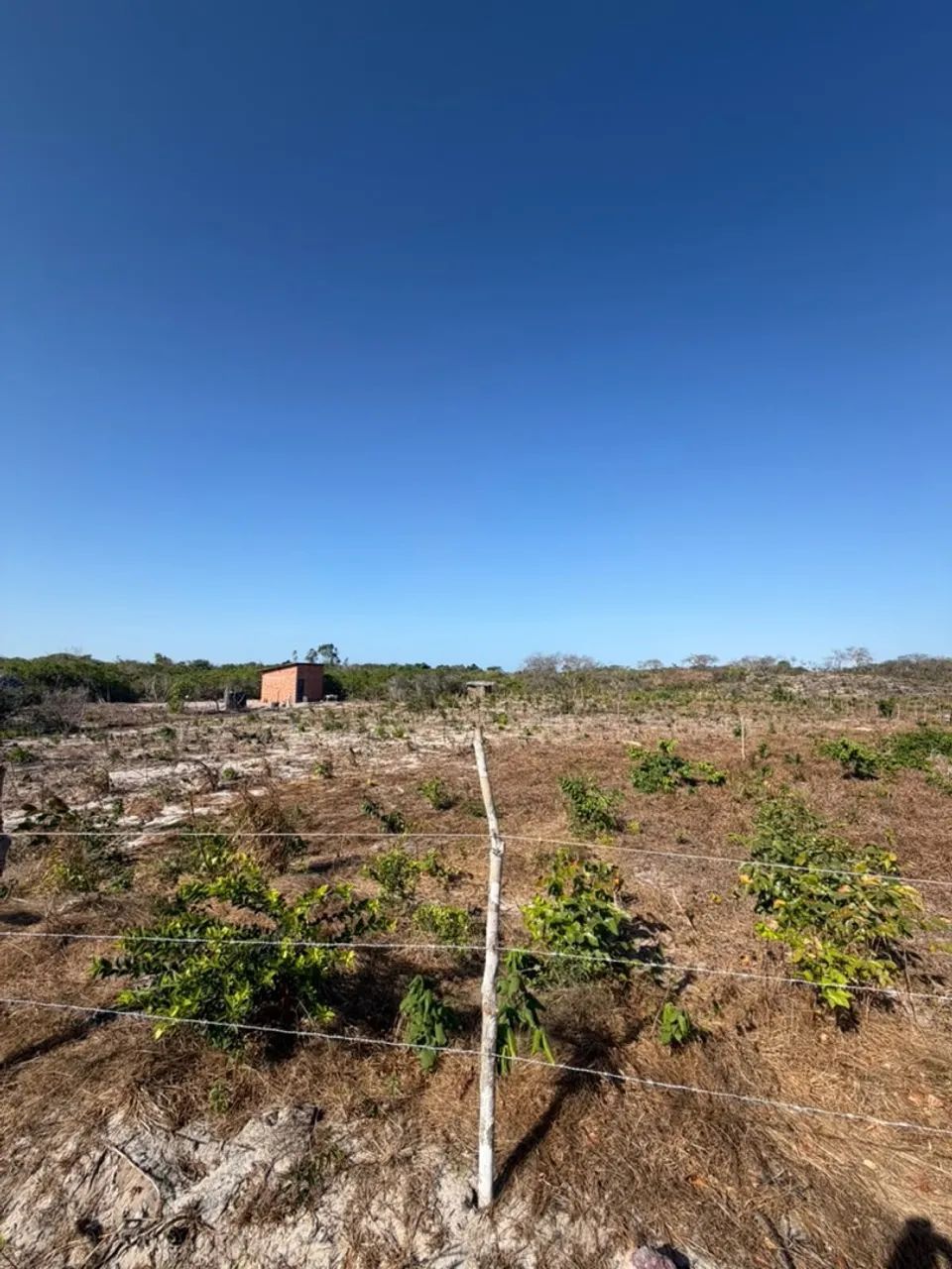 Oportunidade em Barreirinhas  -  MA  - Foto 4