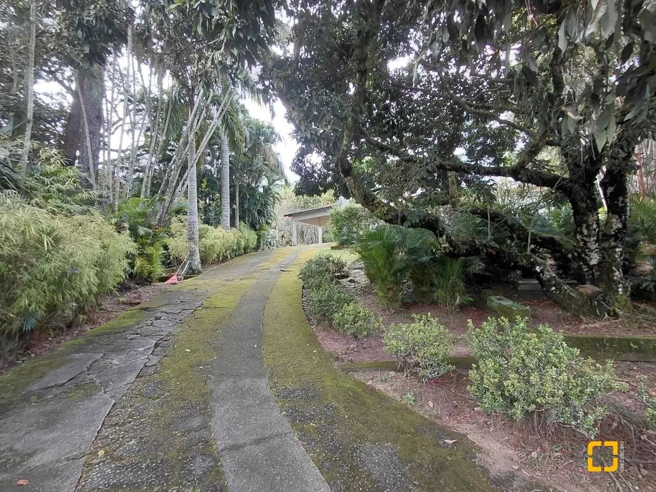 Terreno à venda, Saco Grande, com viabilidade para edificio, Florianópolis, SC - Foto 2