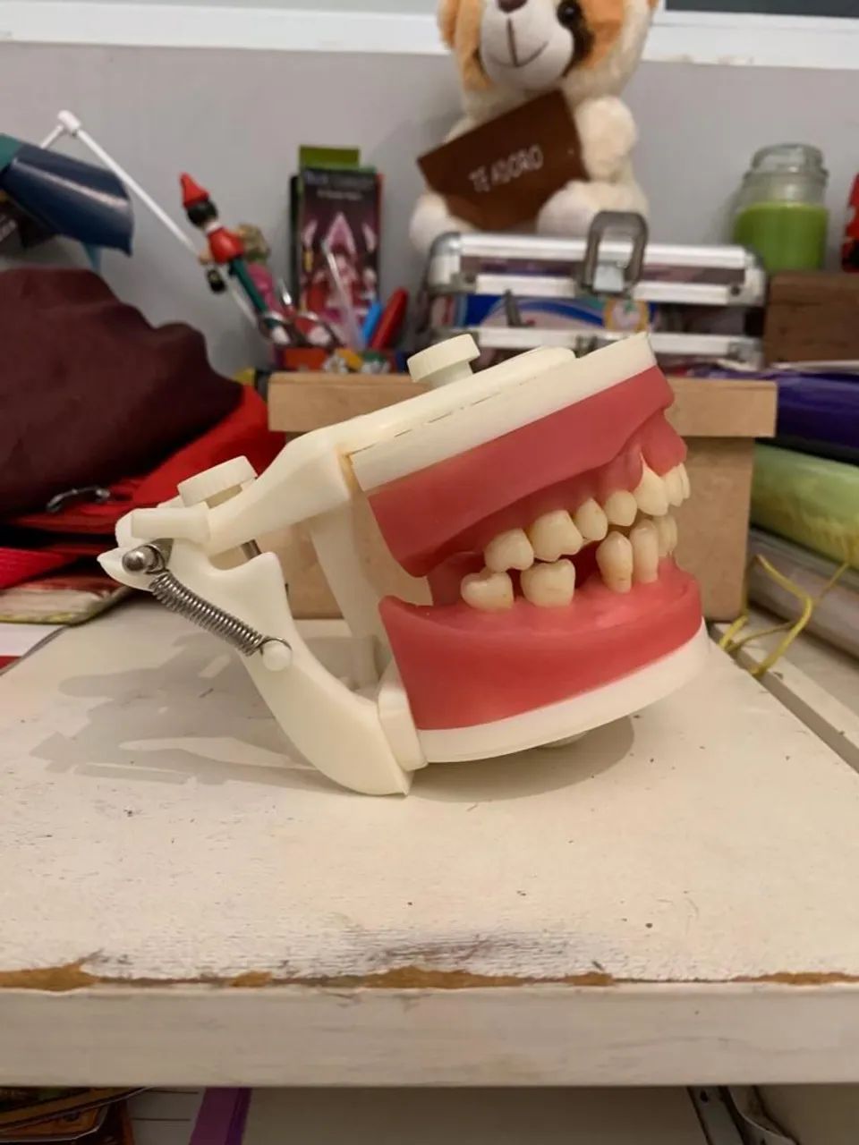 Manequim de periodontia  - Foto 5