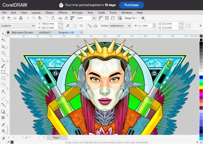 Corel Draw 2025 - Foto 2