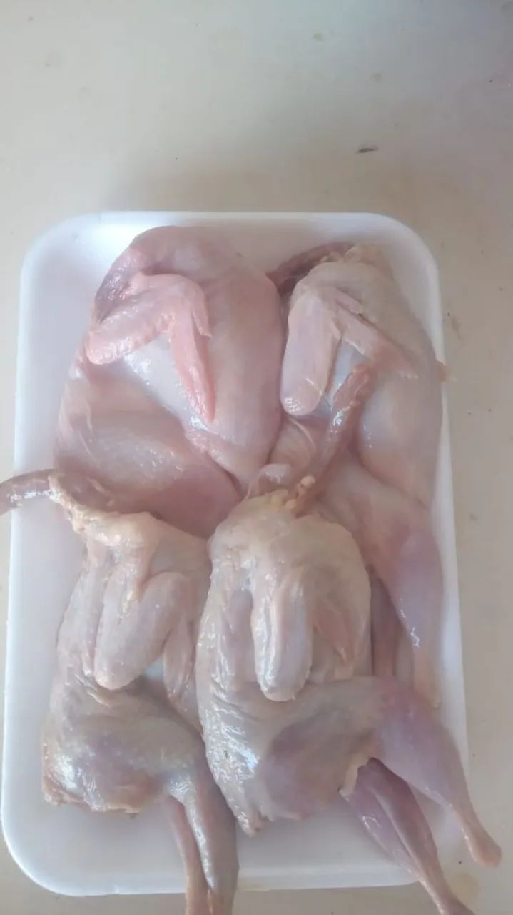 Codornas abatidas - Foto 3