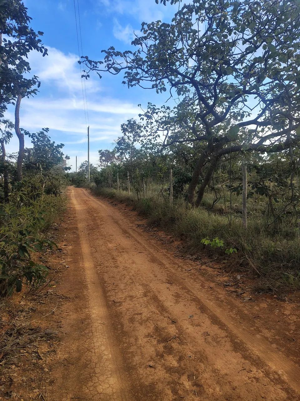 Lote - 1000 M2 Serra do Cipó  - Foto 3