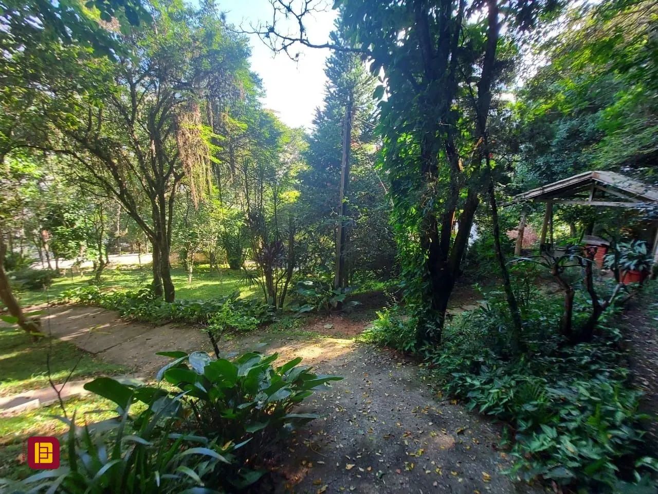 Apartamento em Agronômica - Foto 5