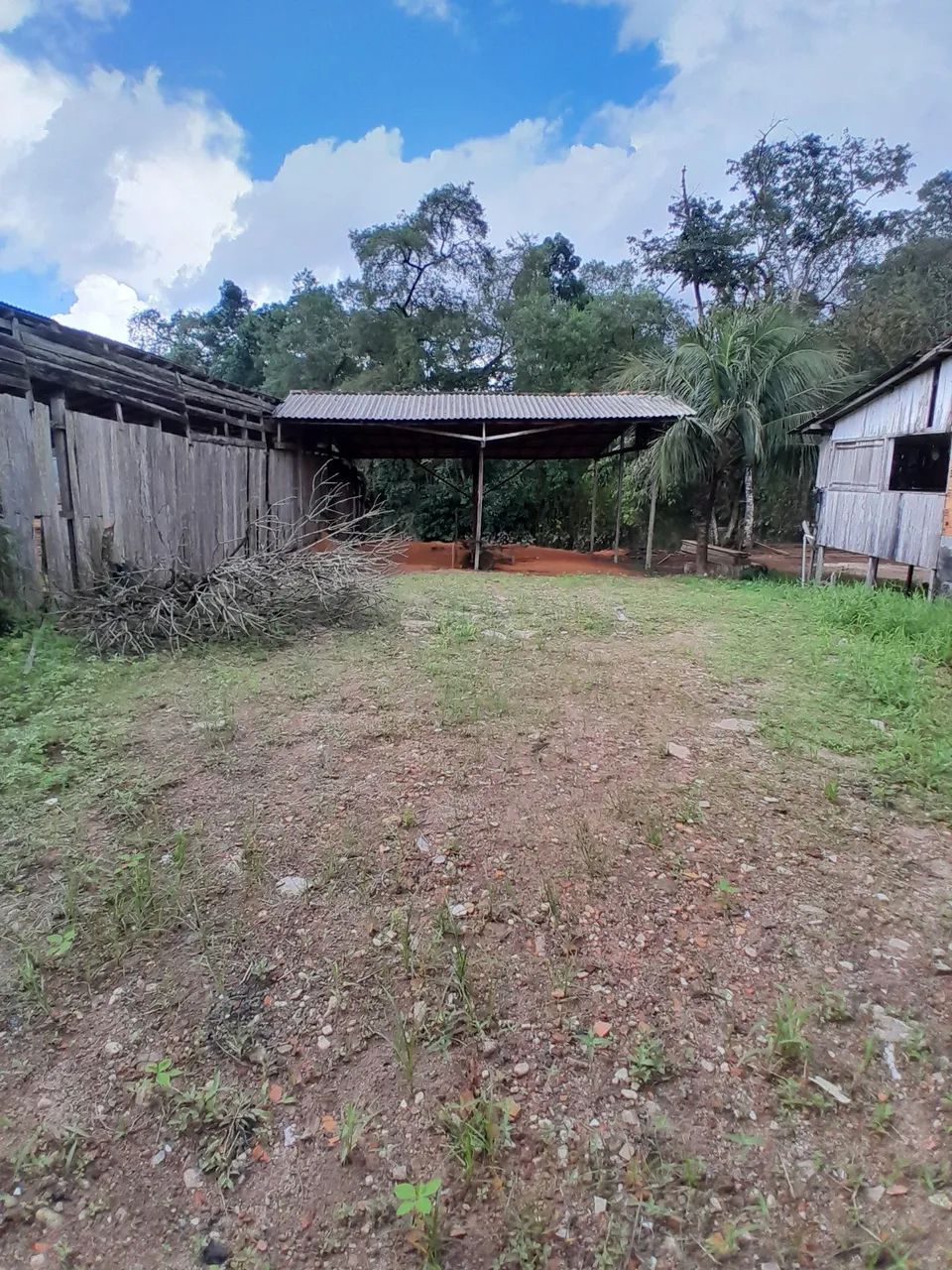 Foto - Ananindeua - Icuí-Guajará
