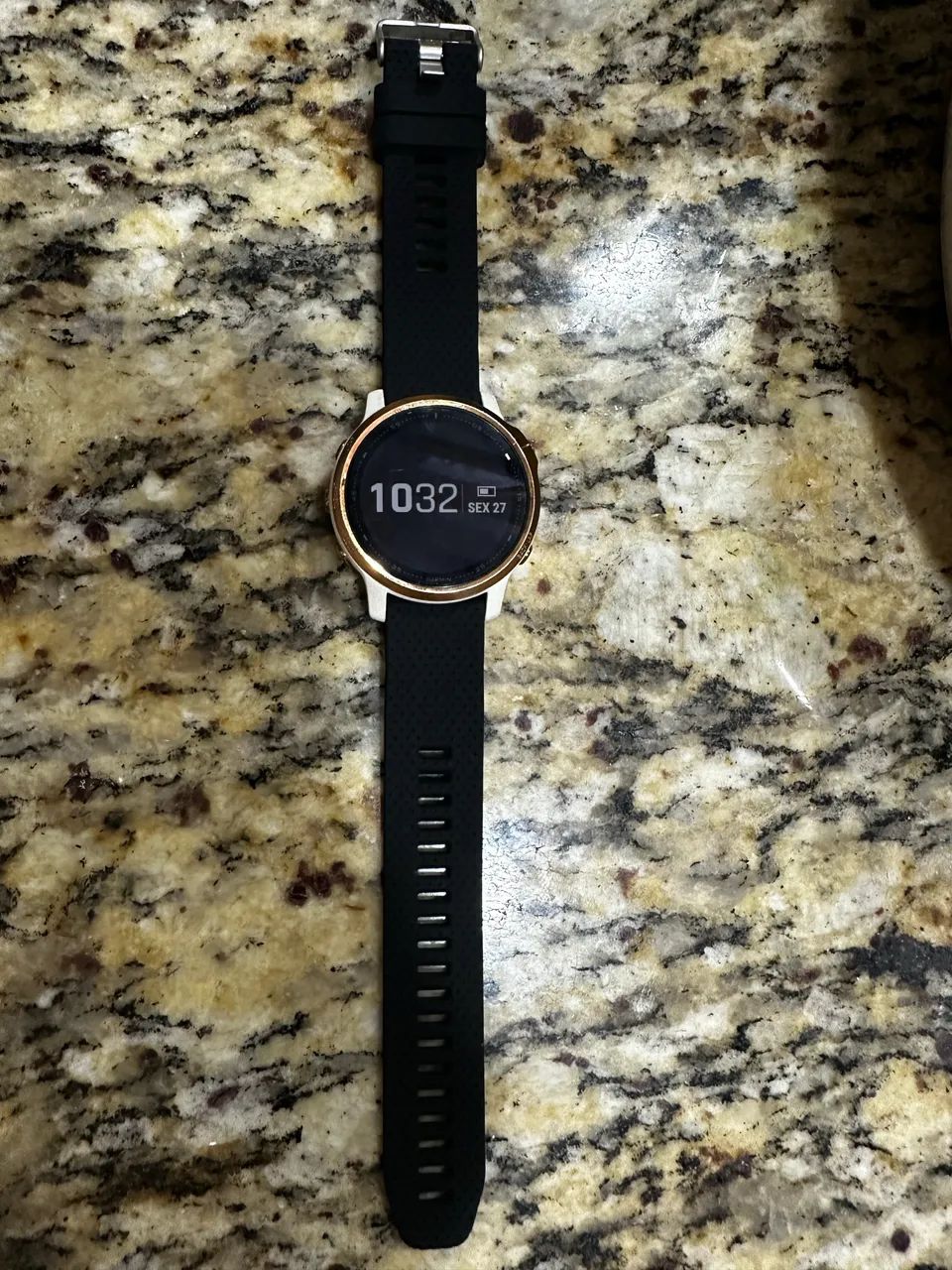 Garmin Fênix 6s Pro