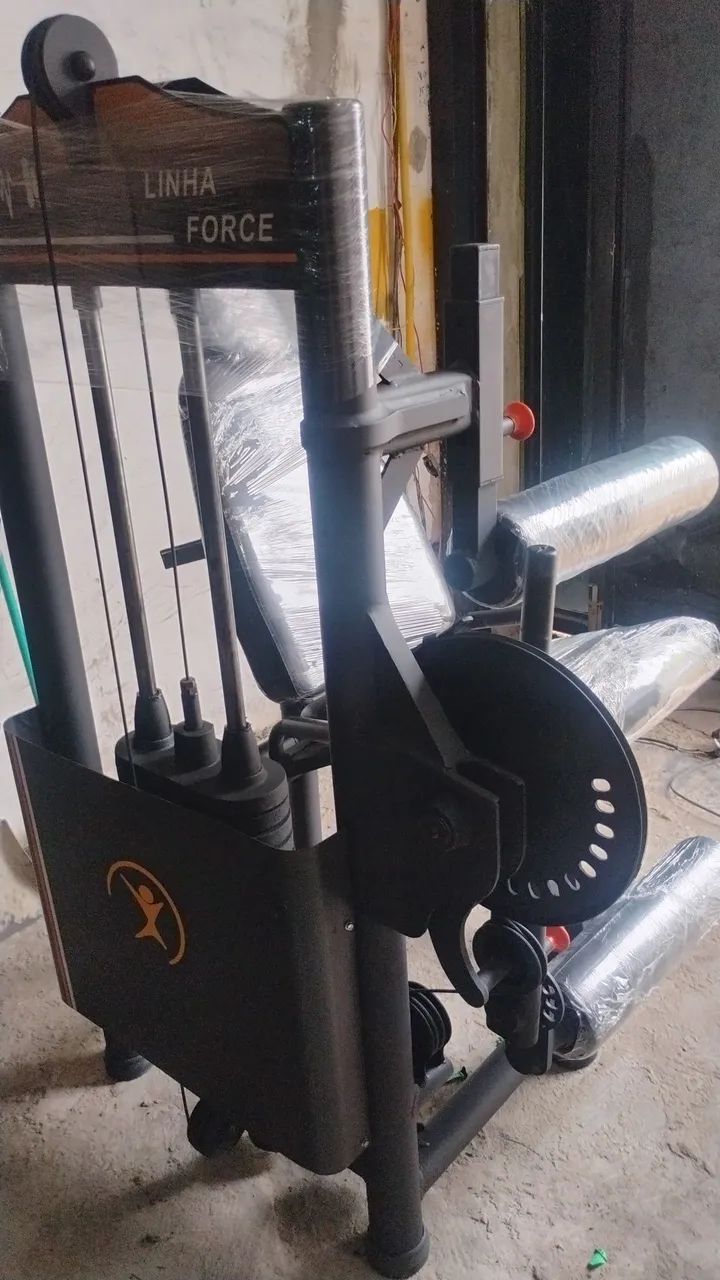 Extensora e flexora no precinho