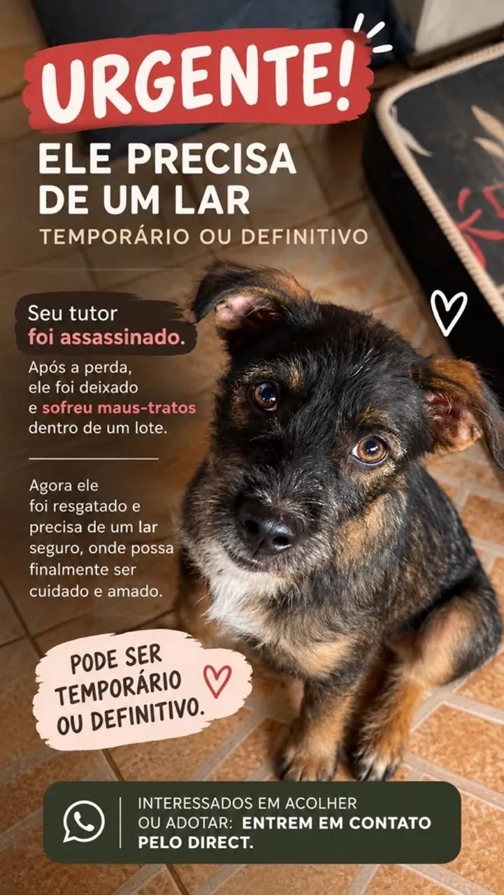 Adoção Responsável 