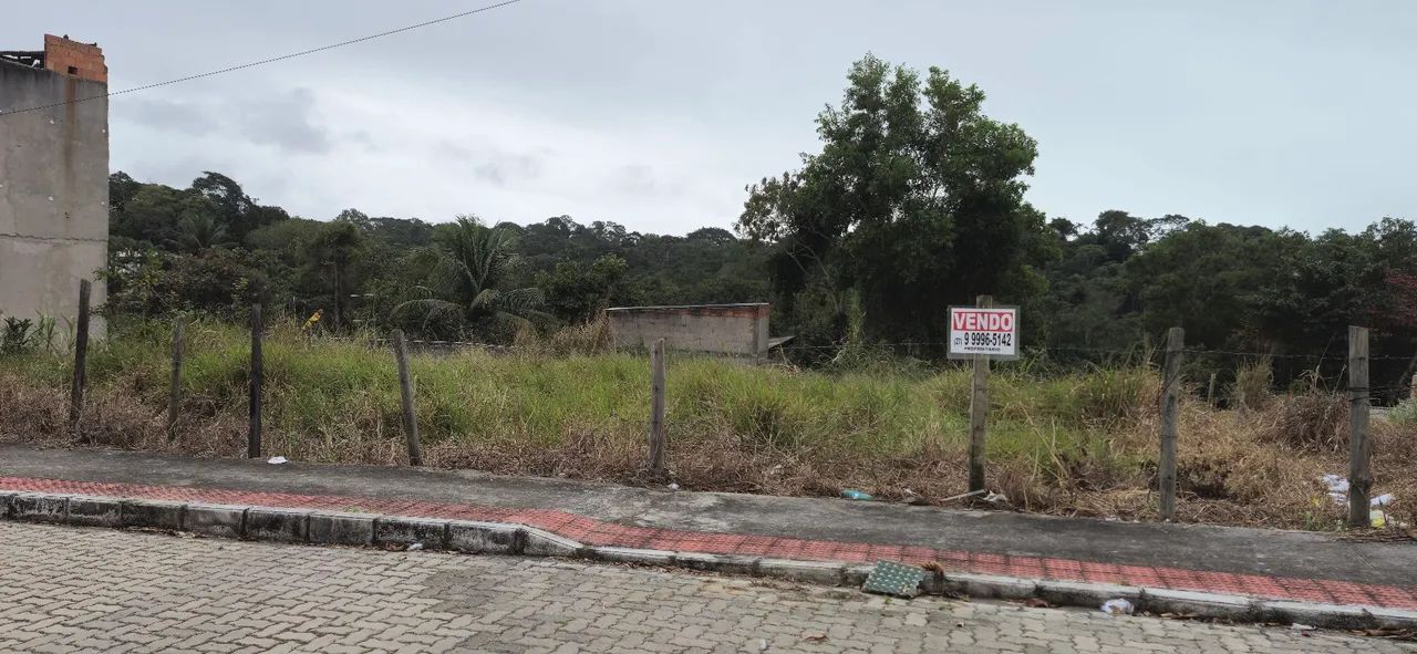 Lote 