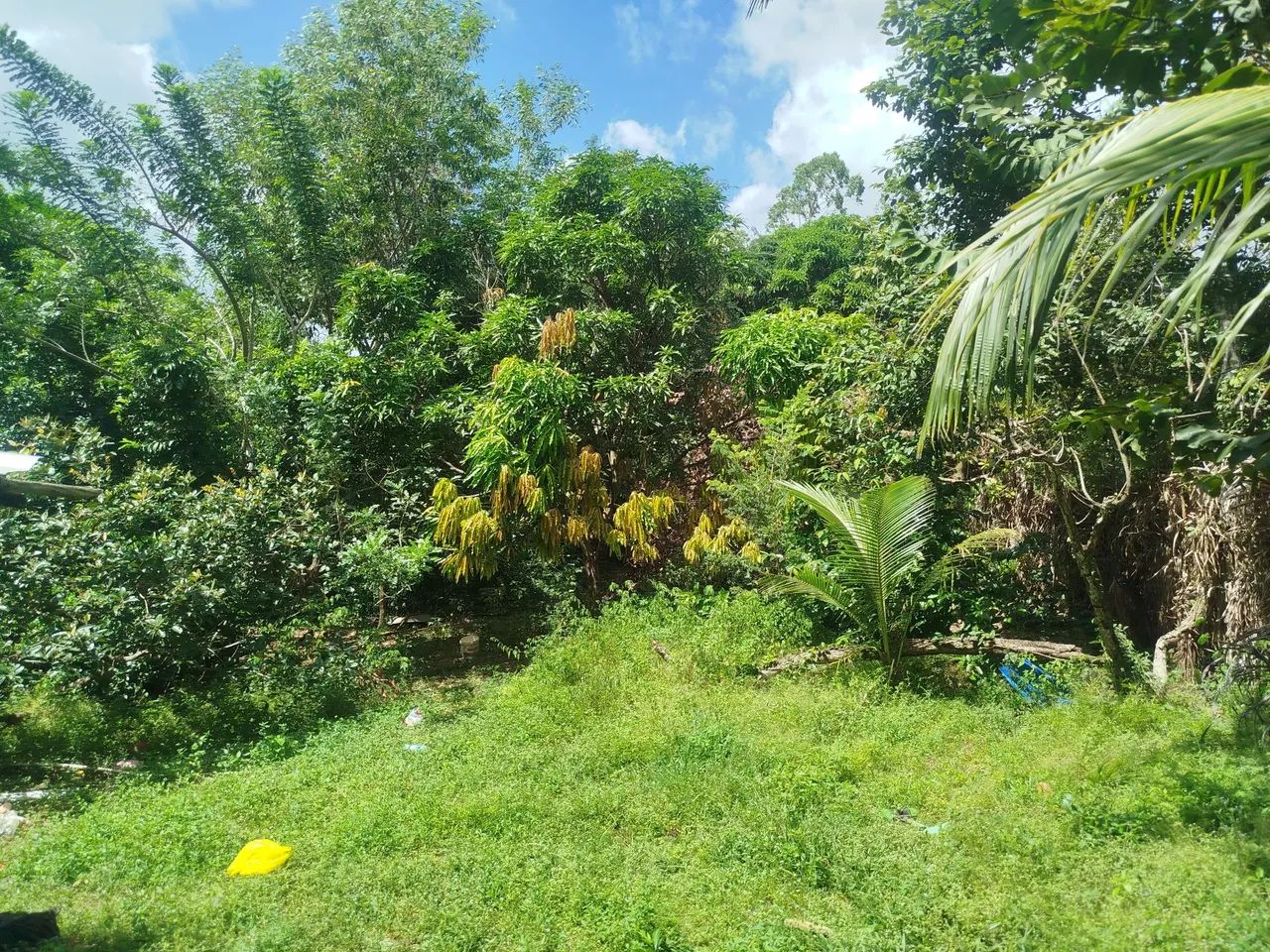 Vendo terreno no Quebra pote, com casa ! - Foto 4