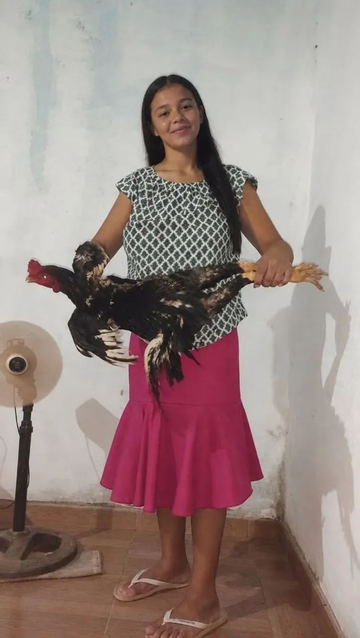 Vende-se galinha! - Foto 2