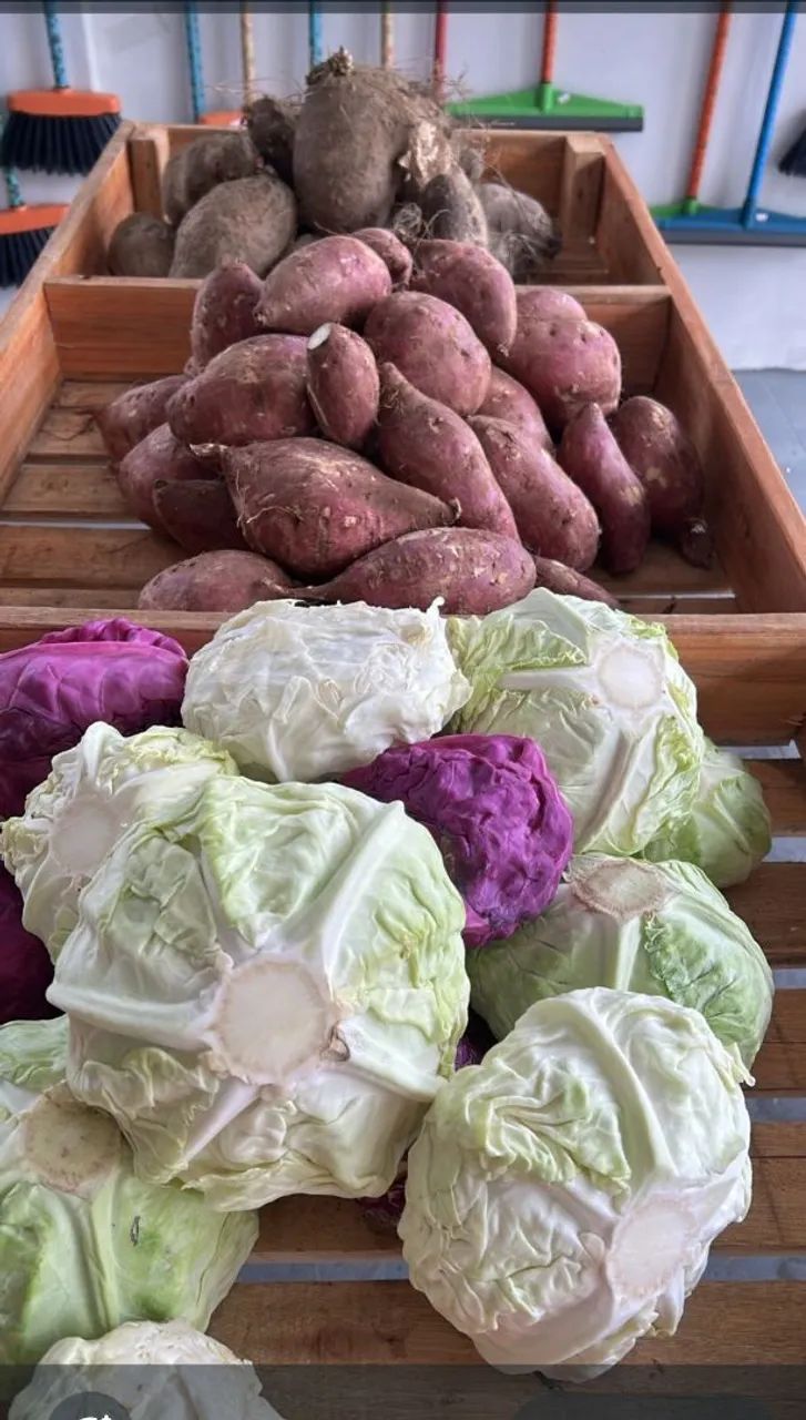 Bancada  Hortifruti  - Foto 3