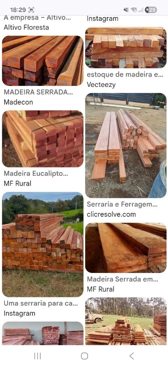 Madeiras  - Foto 2