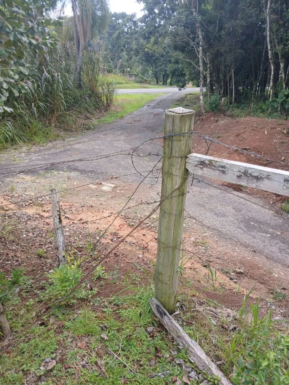 Sítio São Luiz - Foto 3