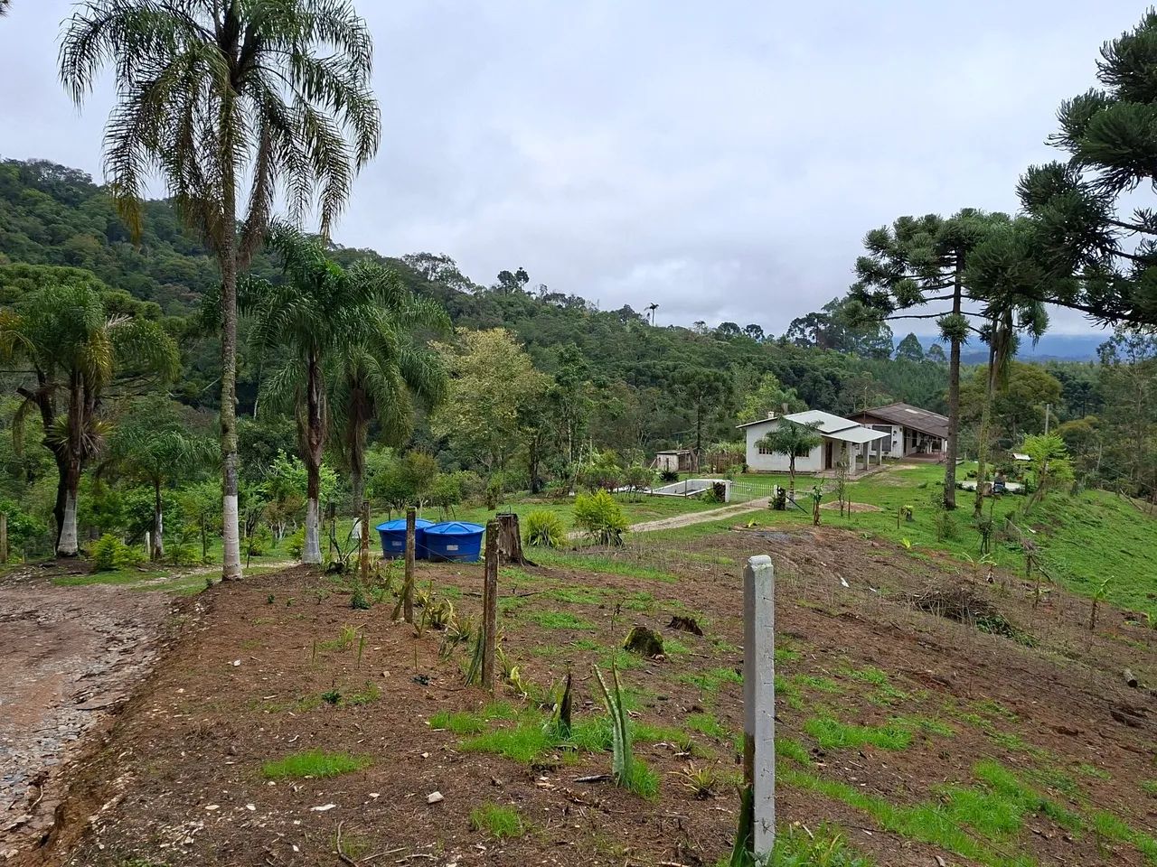 CHÁCARA/ CAMPO MAGRO-PR - Foto 2