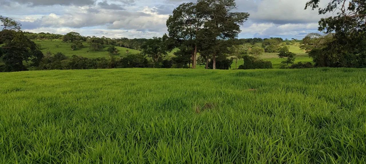 Chácara em Bela VISTA  - Foto 4