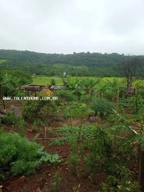 Chácara para Venda em Jataizinho - Foto 4