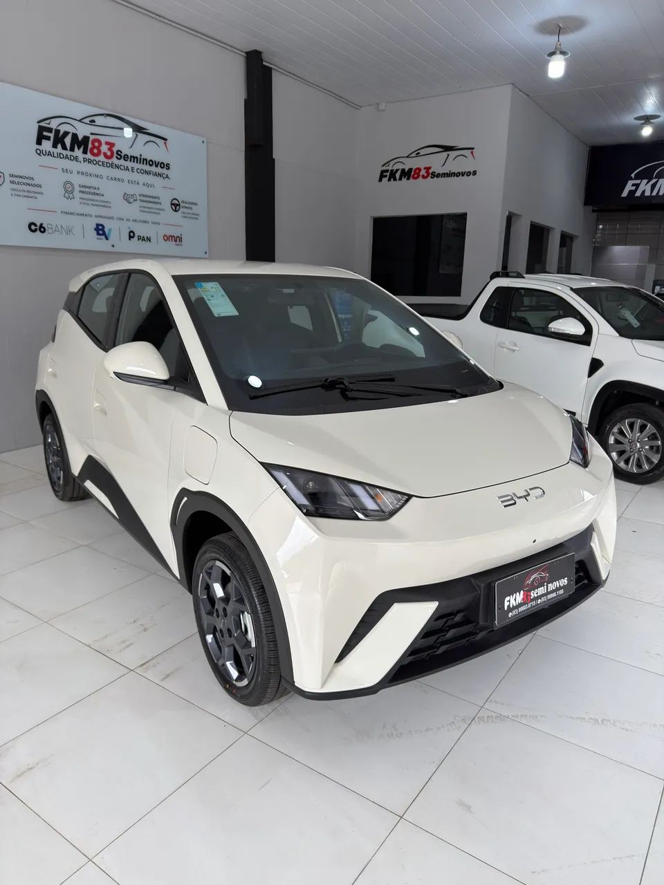 BYD Dolphin GS (Elétrico) 2027 - Foto 2