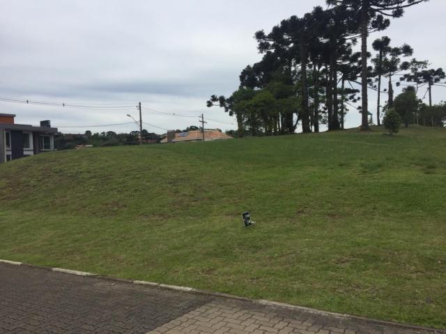 Terreno à venda, 810 m² por r$ 626.798,45 - centro - canela/rs - Foto 4