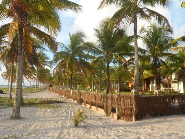Gleba de Terras, Ilha de Tubarão, Camamu-BA - Foto 20